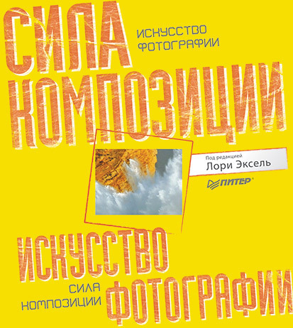 06916896.cover.jpg