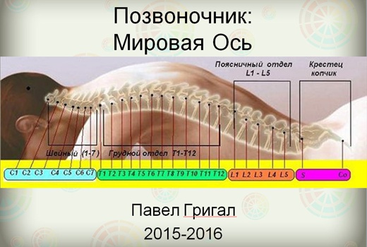 1 1.jpg