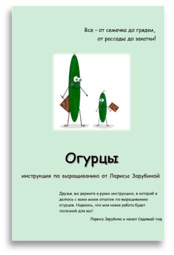 2.JPG