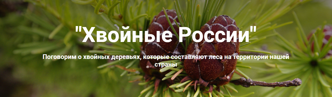 2020-08-04_16-10-07.png