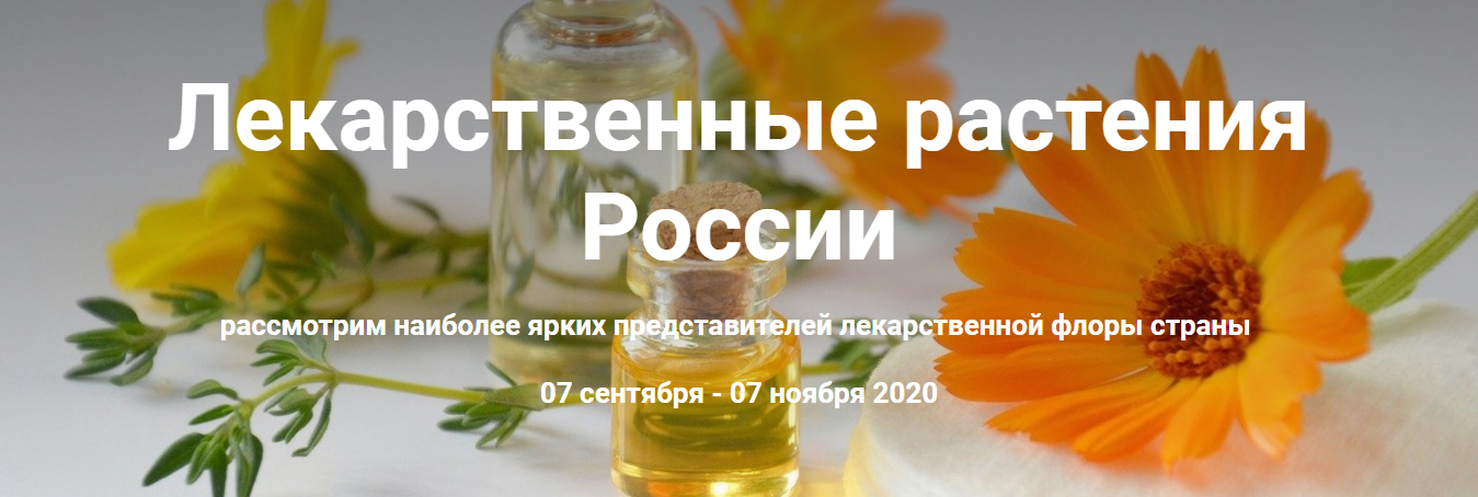2020-09-03_22-25-57.png
