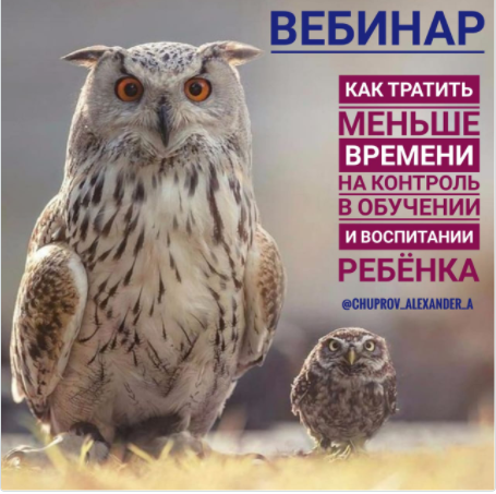 2021-03-10_11-31-00.png