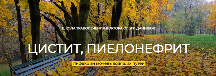 2022-11-01_23-00-26.png
