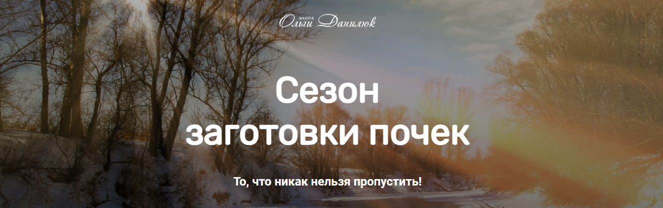 2022-11-16_13-45-52.png