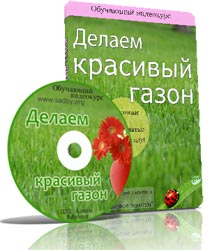 229x323-img-obl.jpg