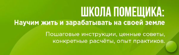 2323213.jpg