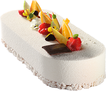 347x299xhov2.png.pagespeed.ic.i8IalmjSiH.png