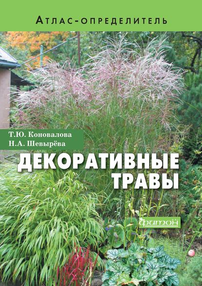 53850697-natalya-shevyreva-dekorativnye-travy-53850697.jpg