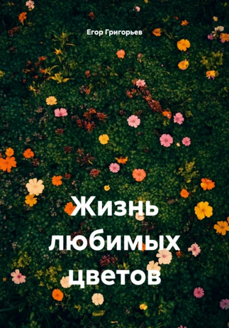 54654654 (3).png