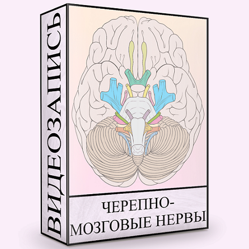 _001.png