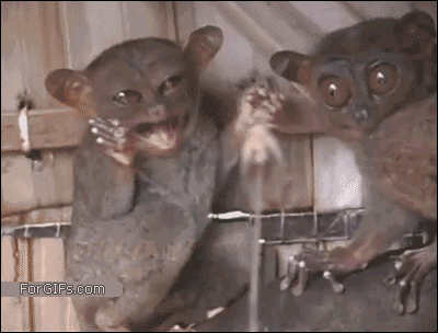 anigif_enhanced-buzz-26236-1405694016-4.gif