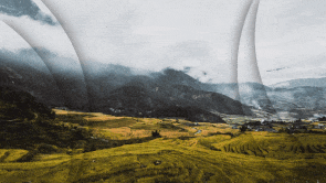 creative16.gif
