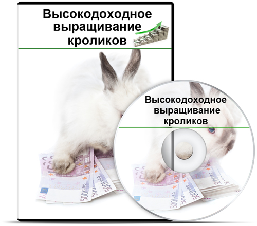 dvd.jpg