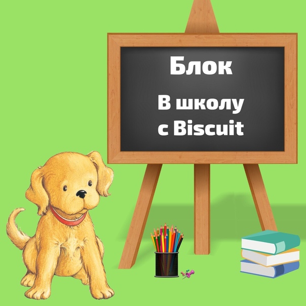 eCKrZKjoX_E.jpg
