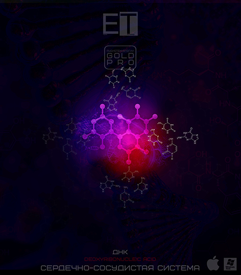 ETpro.GoldPro.DNK-Cardiovascular-system-Lecheniye-Ozdorvleniye.jpg