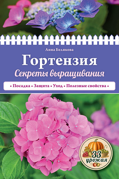 гортен.jpg