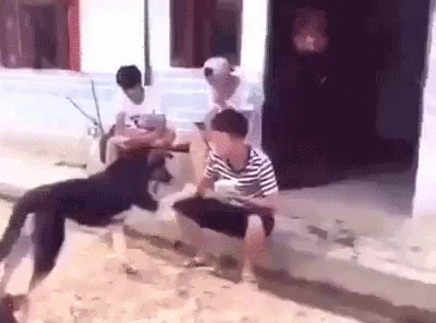 image.gif