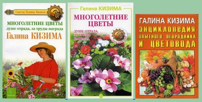 Kizima07.JPG