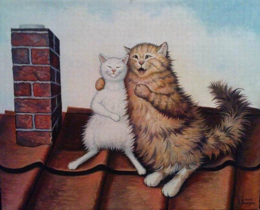 Коты общаются.jpg