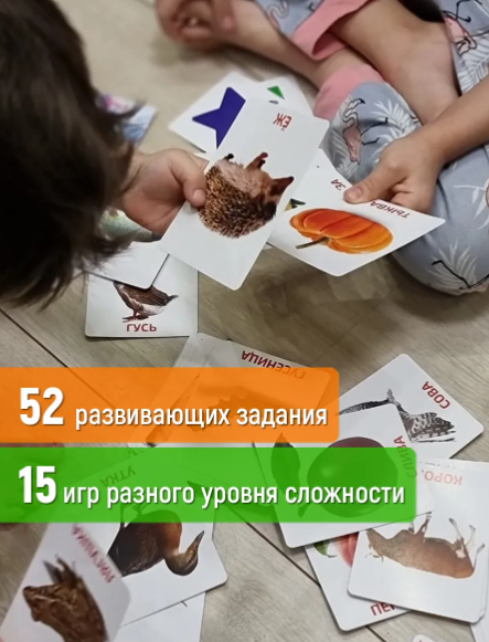 Набор карточек по Доману.png