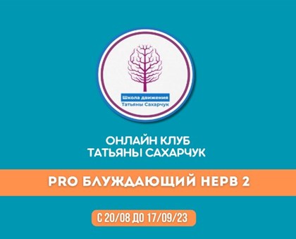 нерв 2.jpg