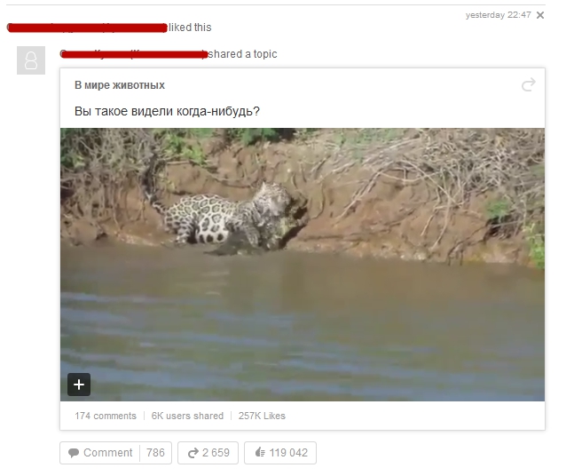 ок2.jpg