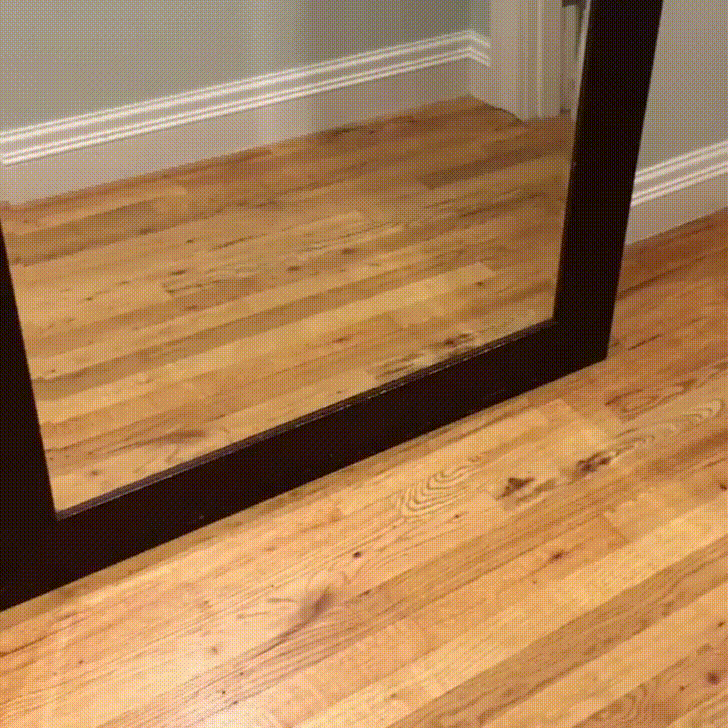 orig.gif