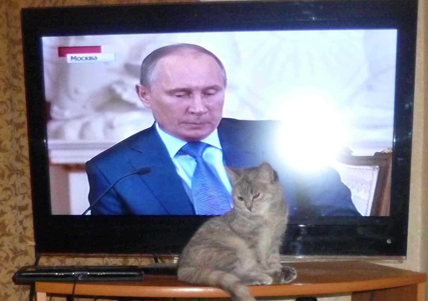 P1010453уу.jpg