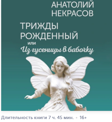 Snapshot_240810033537.png
