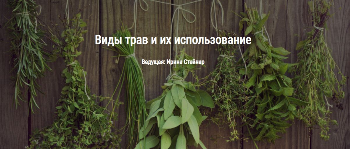 Снимок.JPG