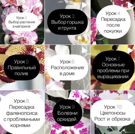 Снимок.JPG