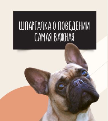 Снимок.JPG