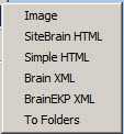 TheBrain_export.jpg
