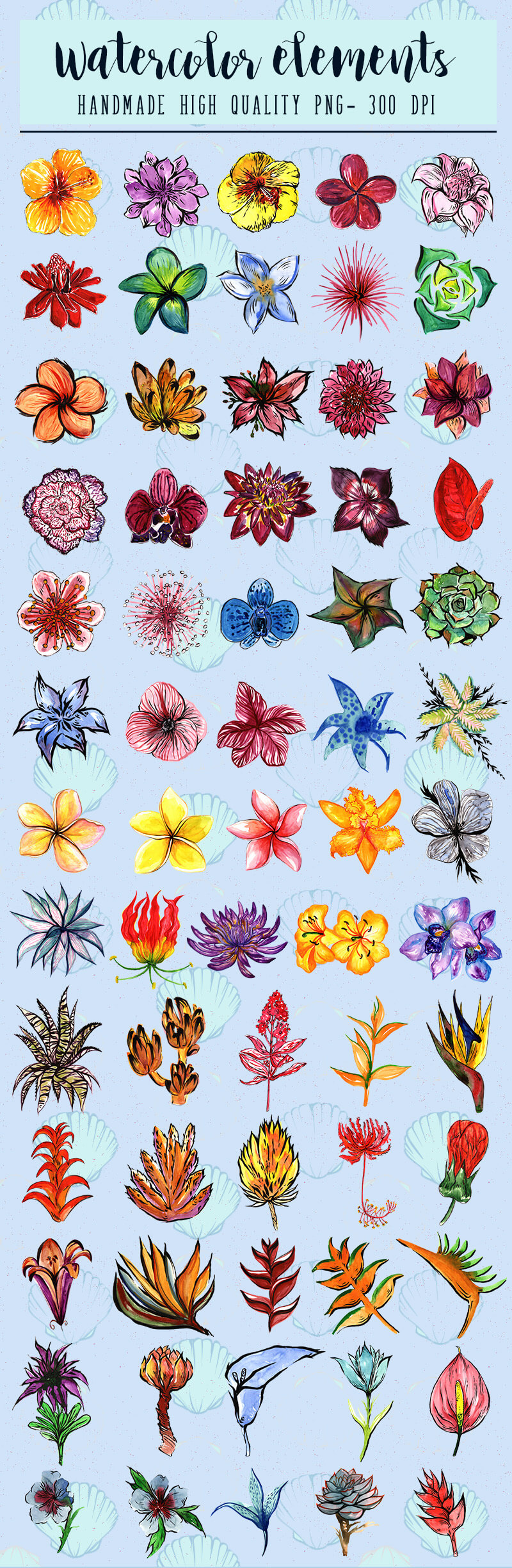 Tropical-Bundle_Prezentare_1-v21.jpg