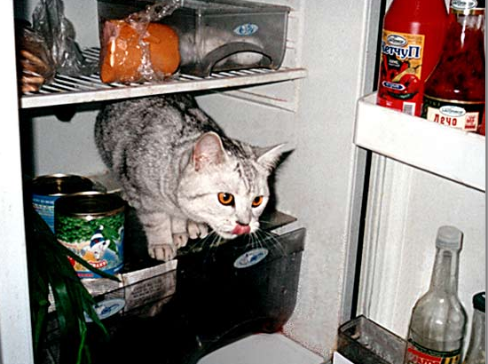 upload_2014-10-19_11-45-14.png