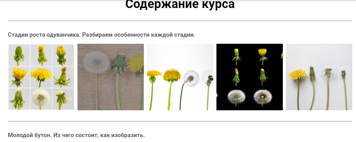 upload_2021-6-25_10-56-12.png