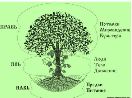 upload_2024-2-4_15-16-55.png