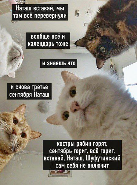 upload_2025-9-3_12-51-33.png