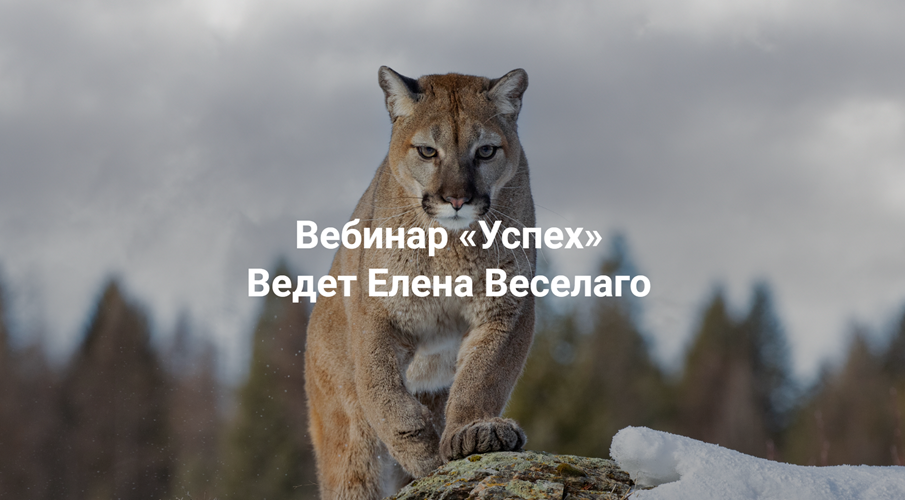 успех.png