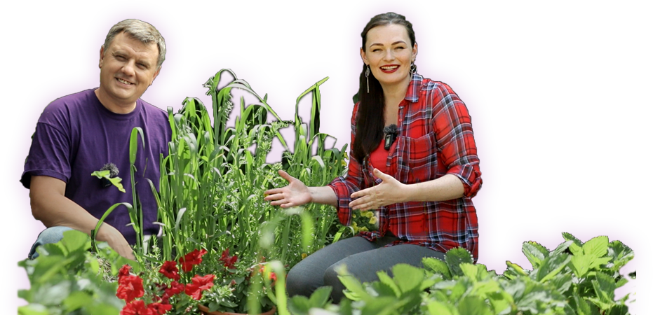 VKurs_BIGbanner-B.png