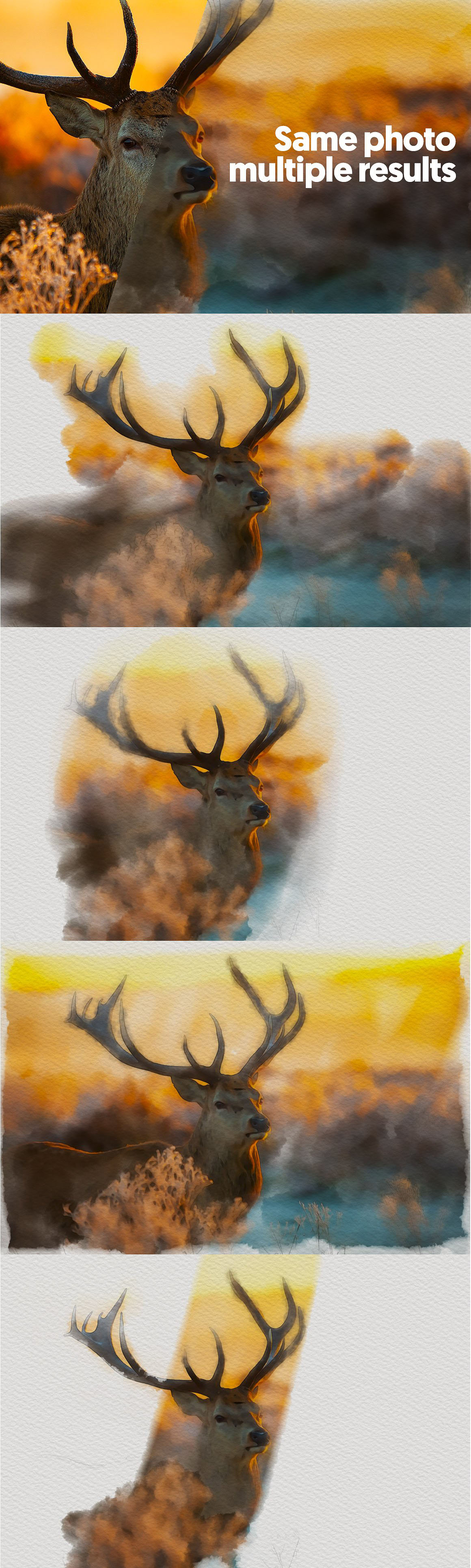 WatercolorProPainter2b.jpg