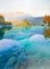 clear_day_final-221x300.jpg