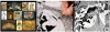 upload_2024-12-16_0-31-39.png