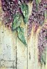 test59369783bbcda1.09734027.jpg