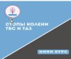 стопы.jpg