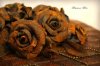 test5a843c5cdd18b1.93496109.jpg
