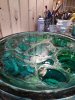 test5b0d64d8d872e4.01649573.jpg