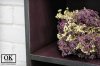 test5bf6517c7d5ce1.12949522.jpg