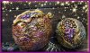 test5da42fe7d59180.18549855.jpg