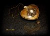 test5db00b4109a254.33751529.jpg